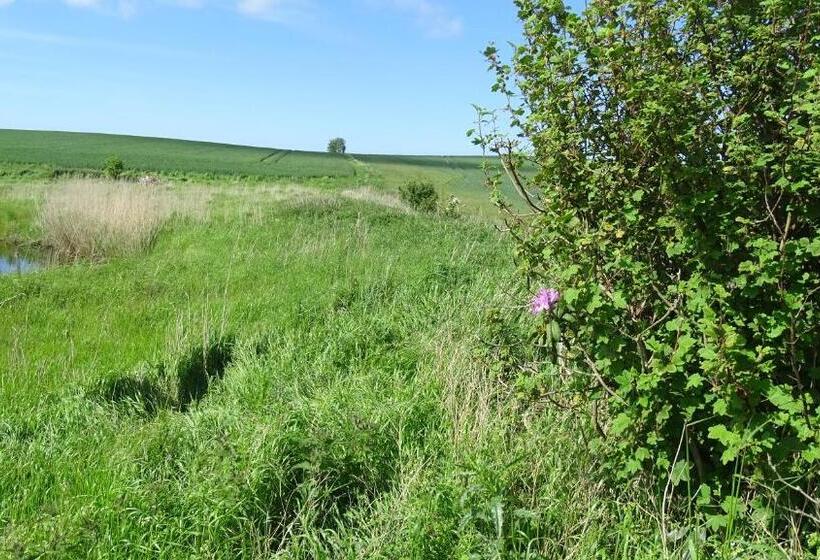 Camønogaarden Et B&b, Kursus Center Og Refugie På østmøn