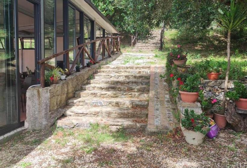 Сельский отель La Focazza