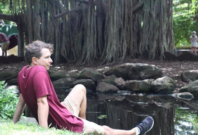 Wesley Art Studio Paint & Stay Plus Tour  Hostel