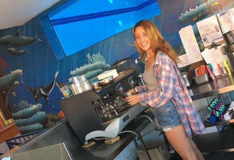 Wesley Art Studio Paint & Stay Plus Tour  Hostel