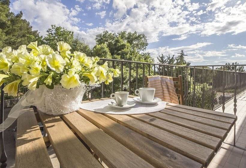 פונדק Poggio Active