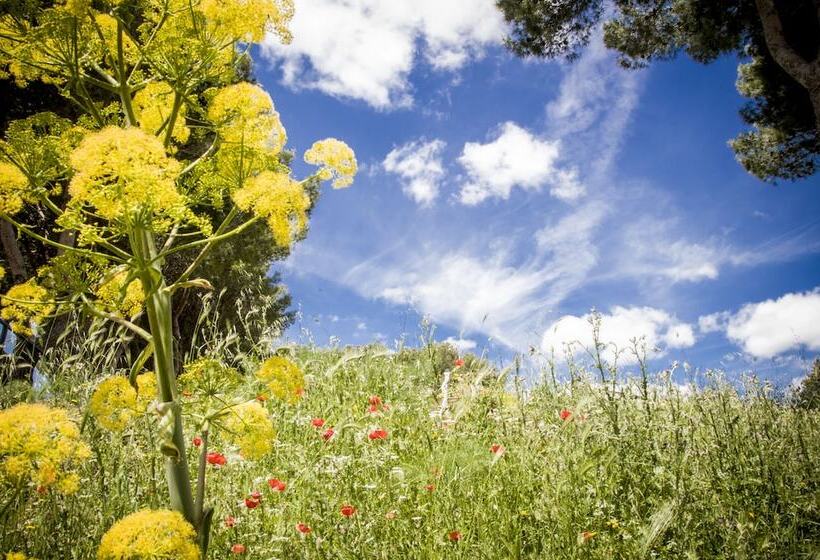 פונדק Poggio Active