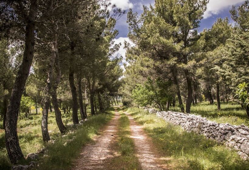 פונדק Poggio Active