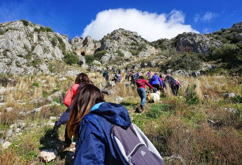 פונדק Poggio Active