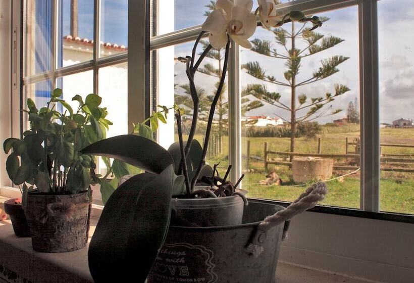 Kokua Surfarm Hostel