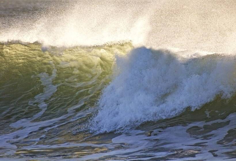 Kokua Surfarm Hostel