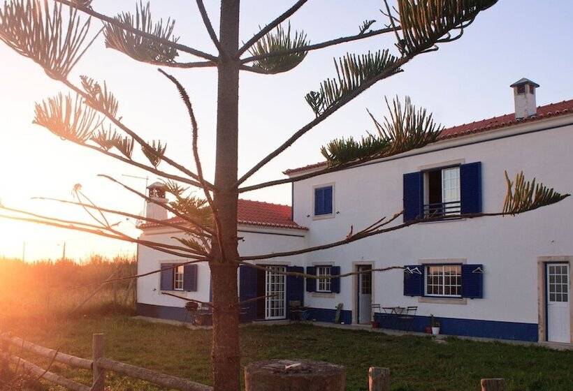 Kokua Surfarm Hostel