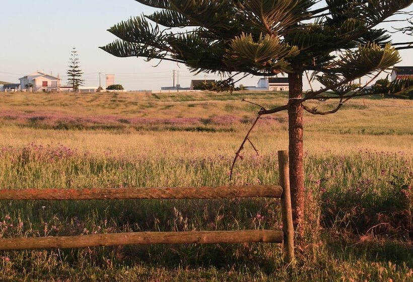 Kokua Surfarm Hostel