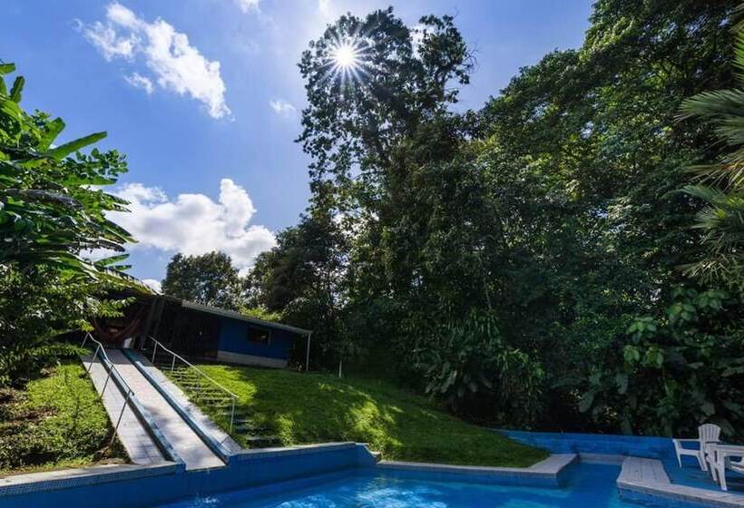 تختخواب و صبحانه Curi Hostel