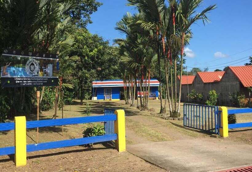 تختخواب و صبحانه Curi Hostel