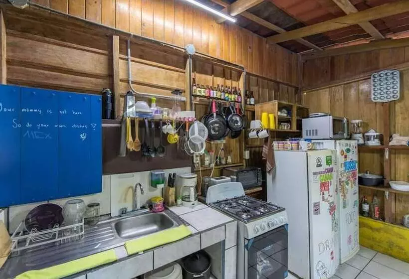 ベッドアンドブレックファースト Curi Hostel