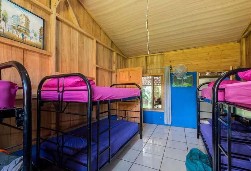 تختخواب و صبحانه Curi Hostel