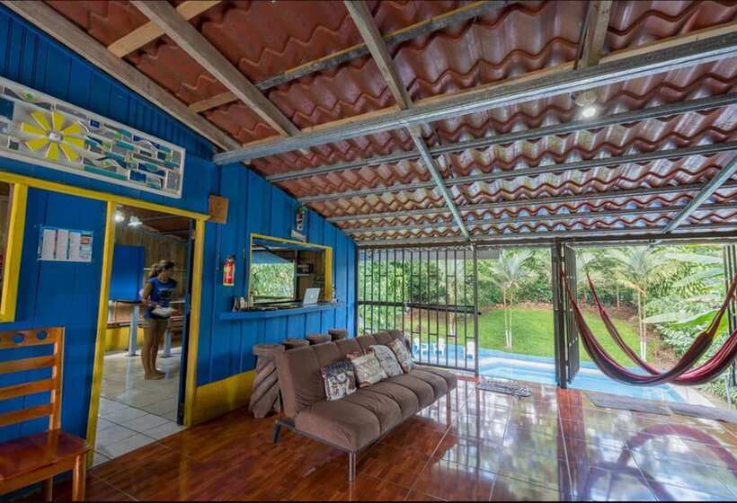 تختخواب و صبحانه Curi Hostel