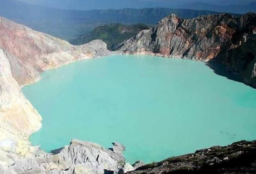 住宿加早餐  Olivia Homestay