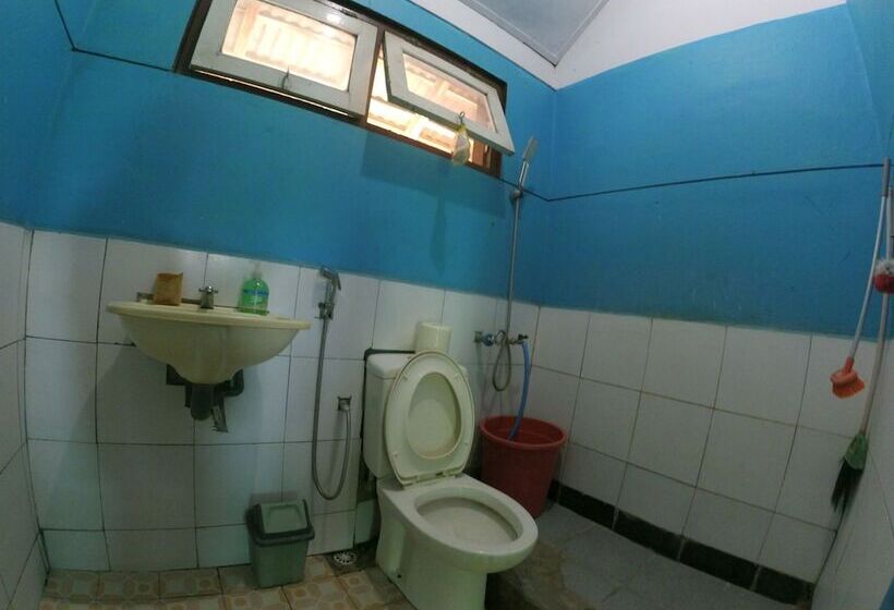 住宿加早餐  Olivia Homestay