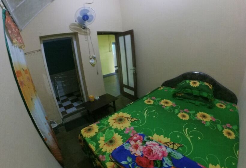 住宿加早餐  Olivia Homestay