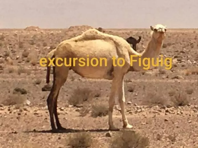 Hotelli Lahlou Riad Cafeteria