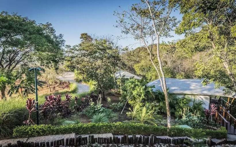 هتل Mikado Natural Lodge