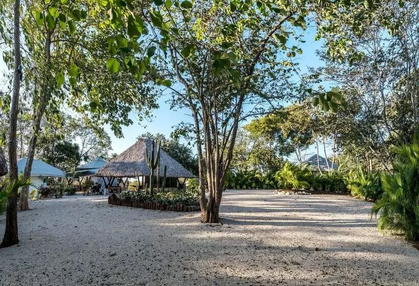 هتل Mikado Natural Lodge