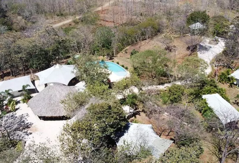 هتل Mikado Natural Lodge