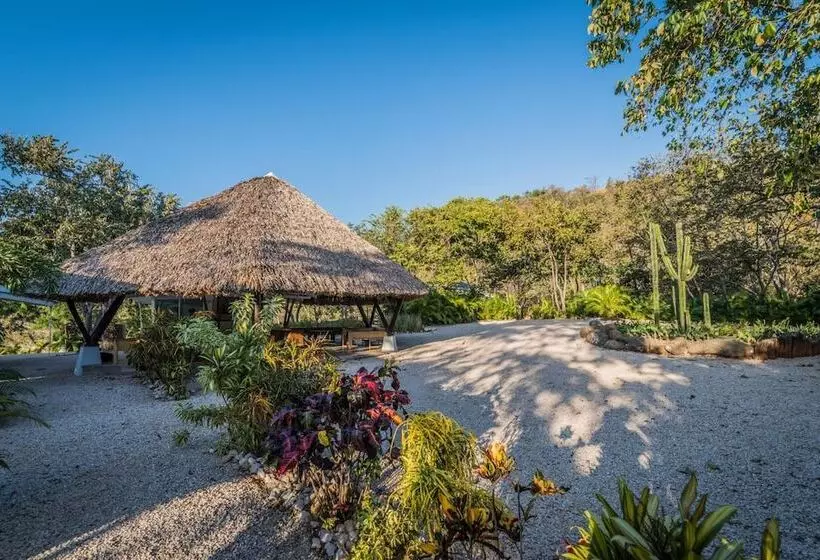 هتل Mikado Natural Lodge