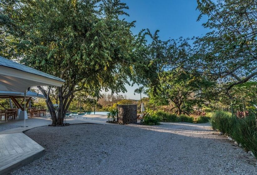 Hotel Mikado Natural Lodge