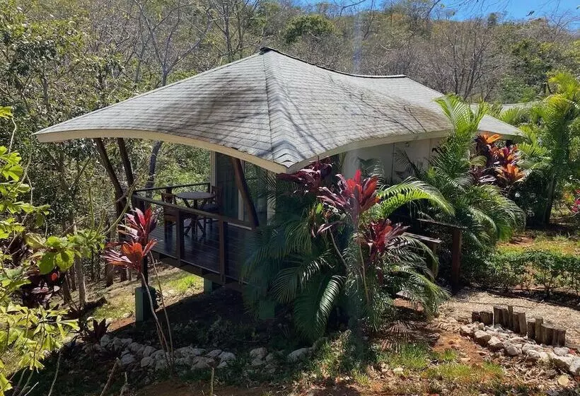 هتل Mikado Natural Lodge