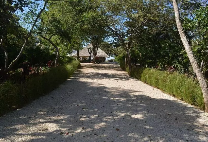 هتل Mikado Natural Lodge