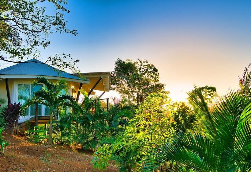 Hotel Mikado Natural Lodge