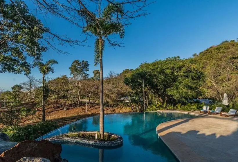 هتل Mikado Natural Lodge