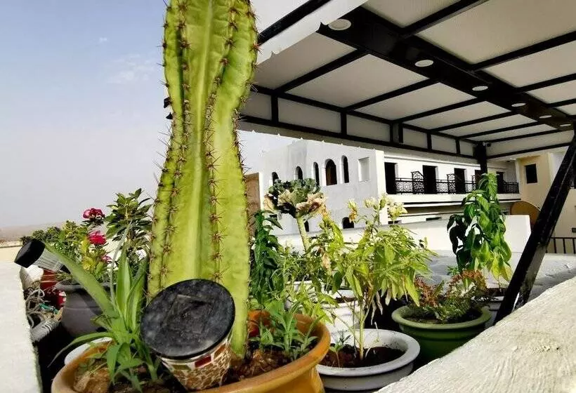 پانسیون Cine House