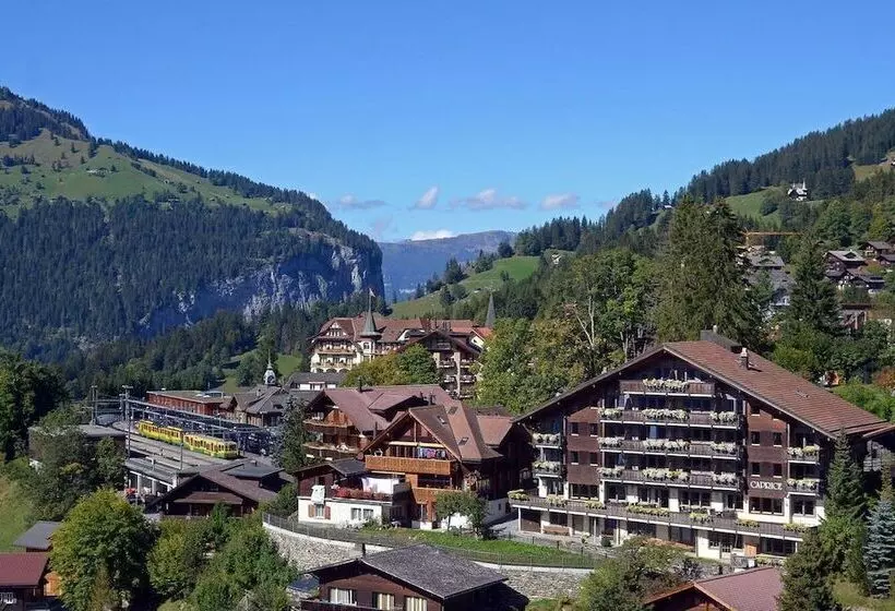 Отель Maya Caprice