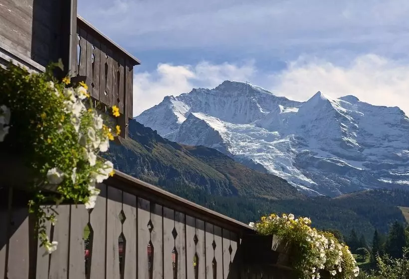 Отель Maya Caprice