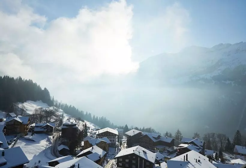 Отель Maya Caprice