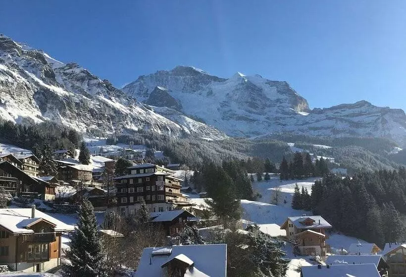 Отель Maya Caprice