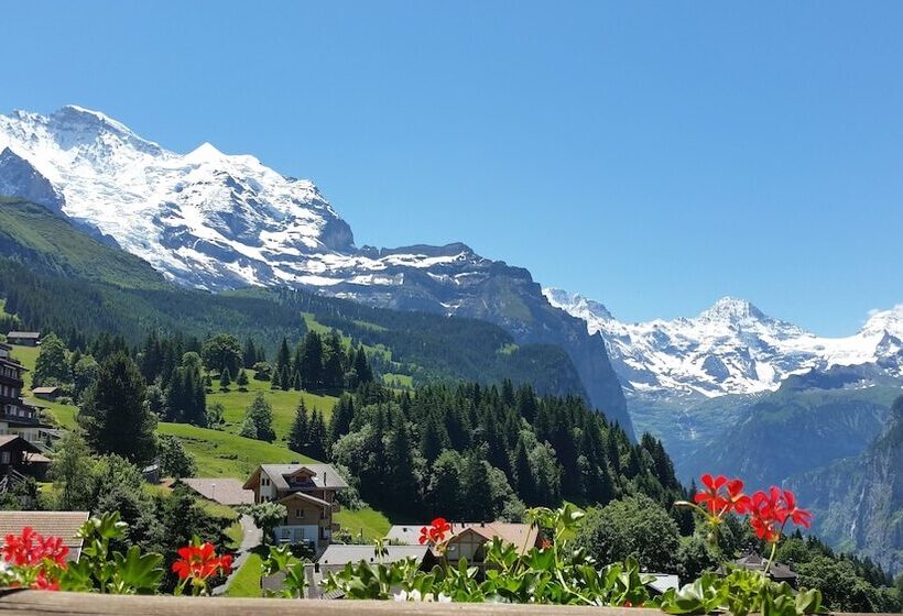 בית מלון כפרי Maya Caprice