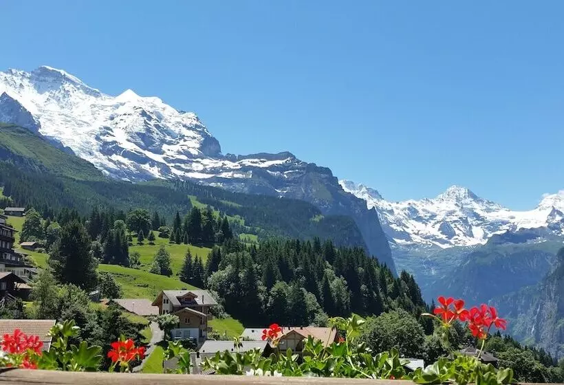 Отель Maya Caprice