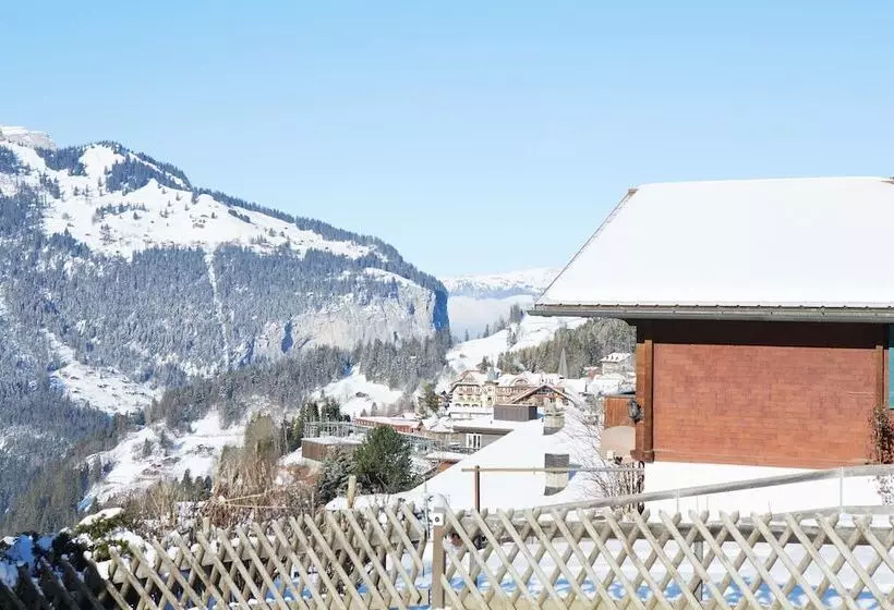 Отель Maya Caprice