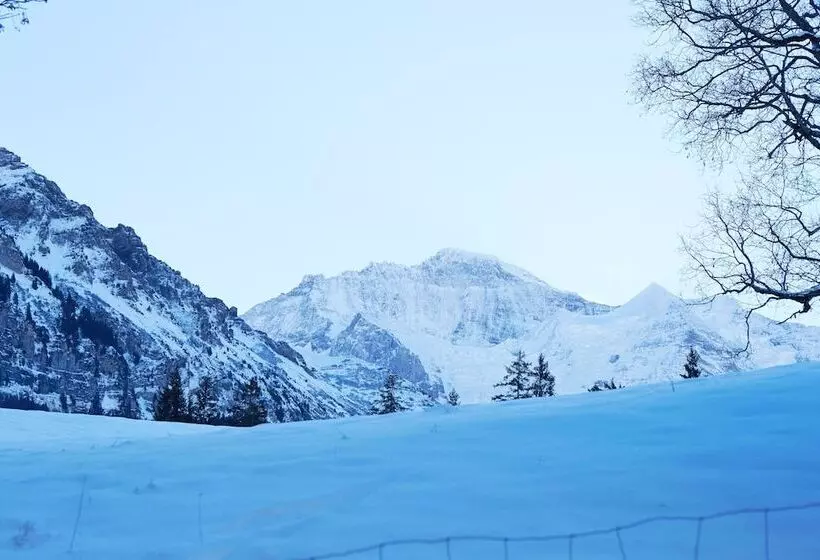 Отель Maya Caprice