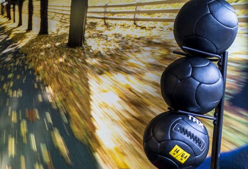 בית מלון כפרי Scandic Elmia