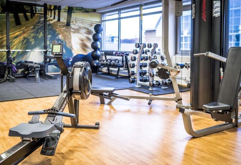 בית מלון כפרי Scandic Elmia