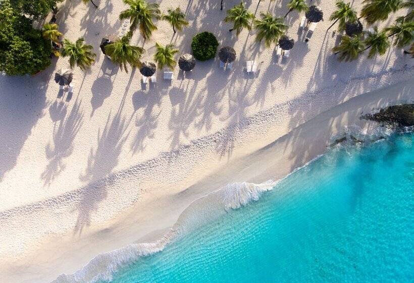 هتل Palm Island Resort & Spa