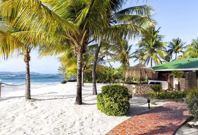 هتل Palm Island Resort & Spa