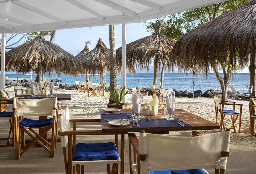 هتل Palm Island Resort & Spa