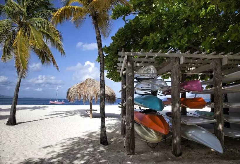 هتل Palm Island Resort & Spa