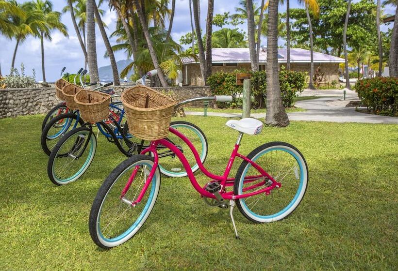 هتل Palm Island Resort & Spa