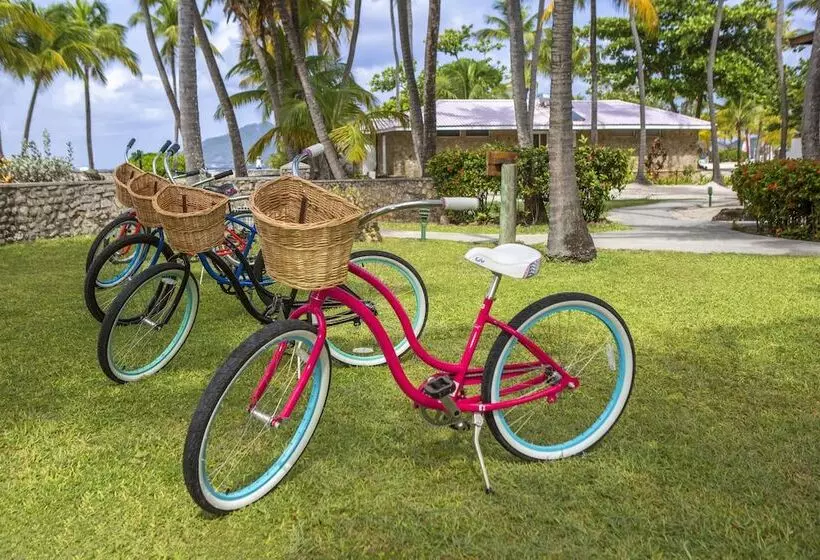 هتل Palm Island Resort & Spa