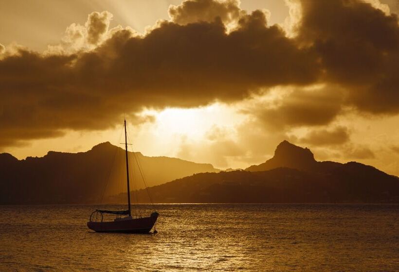 هتل Palm Island Resort & Spa