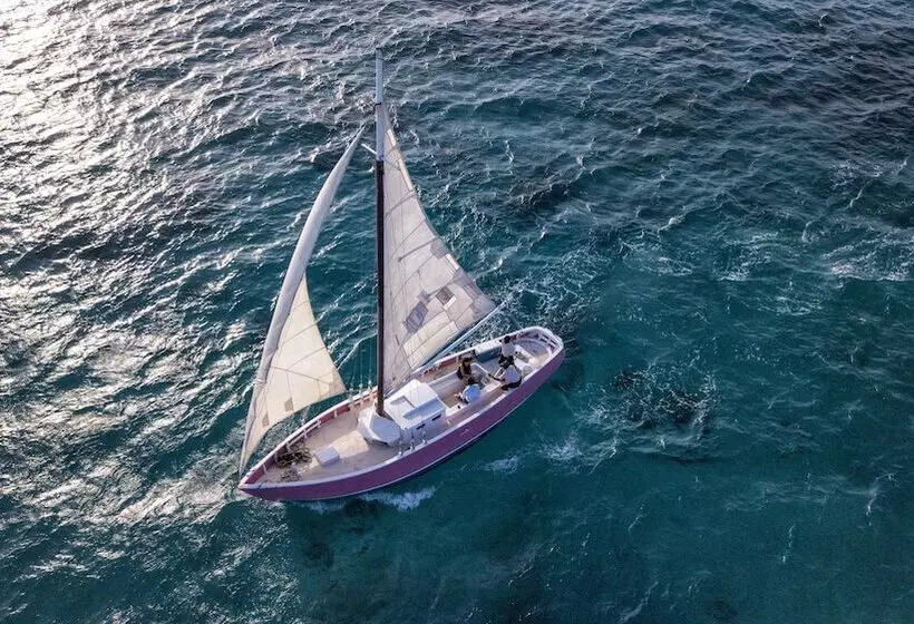 هتل Palm Island Resort & Spa