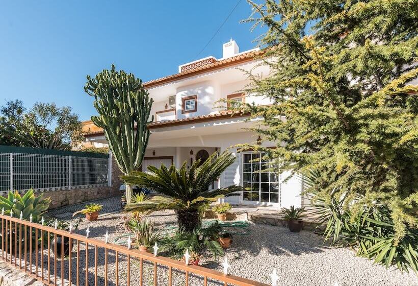 Dipti S Bed And Breakfast